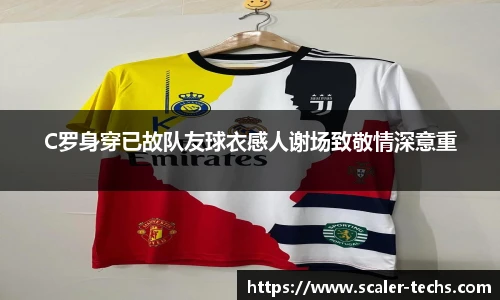 熊猫体育