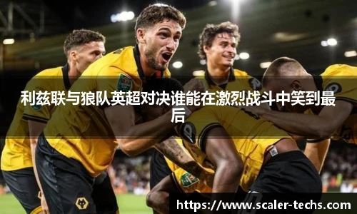 熊猫体育